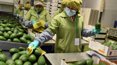 MIDAGRI: Ventas por agroexportaciones superaron los US$ 8,100 millones hasta agosto de 2025