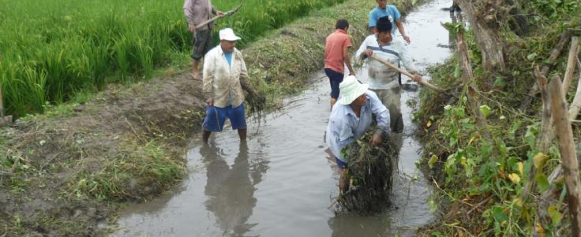 Más de 14 mil agricultores formalizaron su acceso al agua gracias a la Autoridad Nacional del Agua
