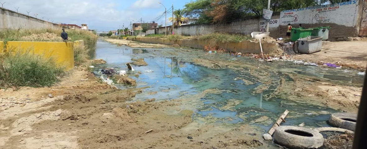 Perú en alerta tras brote de leptospirosis ¿De qué trata esta enfermedad?