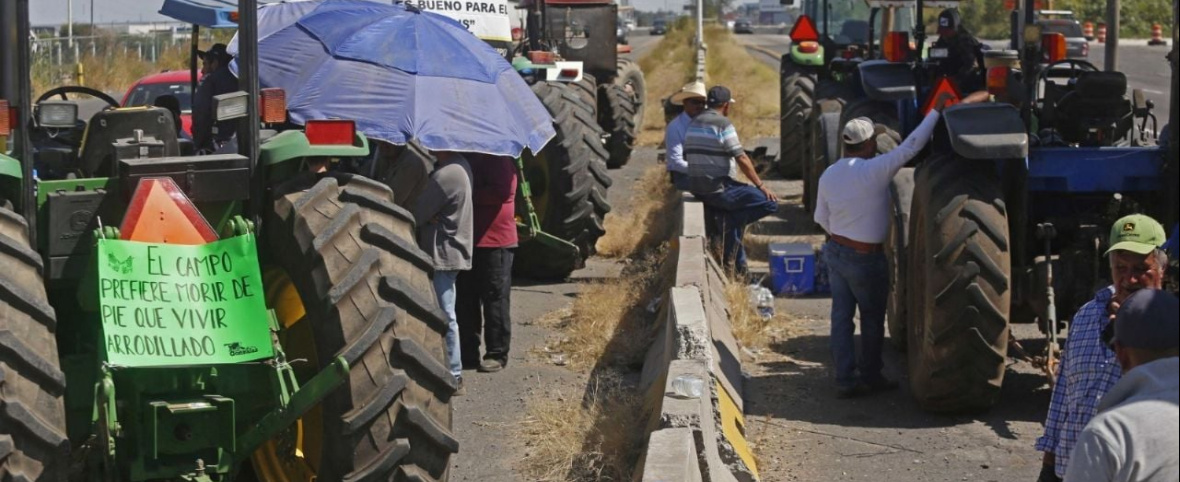 Ejecutivo convoca a gobernadores y gremios arroceros ante paro y bloqueos en varias regiones