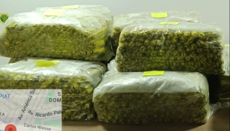 Condenan a 3 años y 4 meses de prisión a mujer por ocultar arsenal de explosivos en su casa