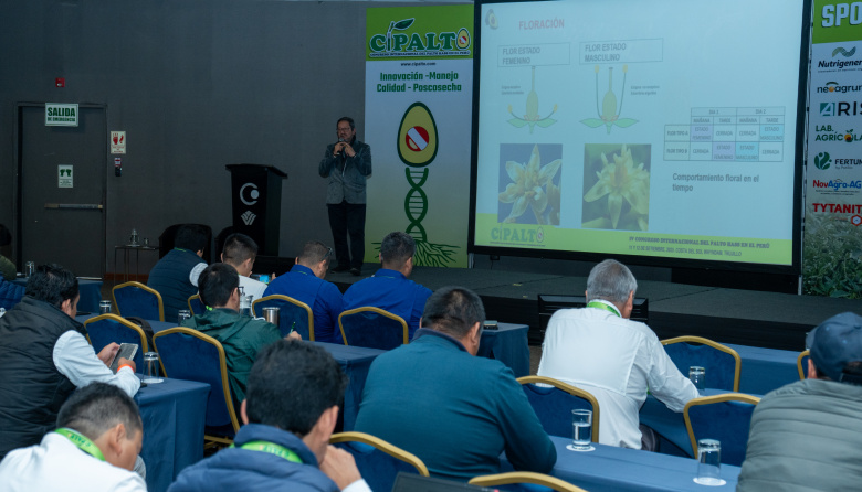Trujillo reunirá a expertos nacionales e internacionales en el V Congreso Internacional del Palto Hass
