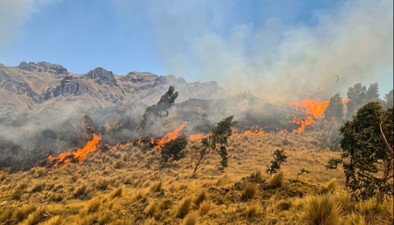 Incendios forestales dejan seis fallecidos y siguen activos en cinco regiones del Perú