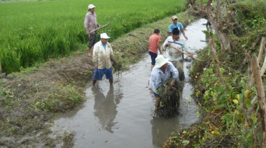 Más de 14 mil agricultores formalizaron su acceso al agua gracias a la Autoridad Nacional del Agua
