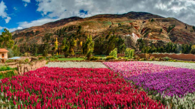 Primavera 2025: Inicio y pronósticos en Perú