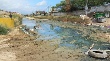 Perú en alerta tras brote de leptospirosis ¿De qué trata esta enfermedad?