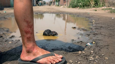 Alerta sanitaria: leptospirosis deja nueve fallecidos y más de 1200 contagios en el país