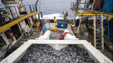 Suspenden por 15 días la primera temporada de pesca de anchoveta