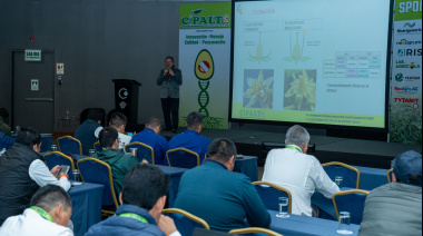 Trujillo reunirá a expertos nacionales e internacionales en el V Congreso Internacional del Palto Hass