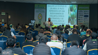 Trujillo reunirá a especialistas del palto Hass en el V CIPALTO 2026