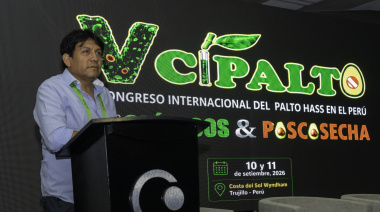 Cambio climático obliga a replantear el manejo del palto Hass en el Perú