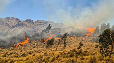 Incendios forestales dejan seis fallecidos y siguen activos en cinco regiones del Perú