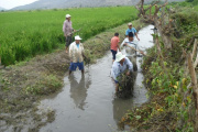 Más de 14 mil agricultores formalizaron su acceso al agua gracias a la Autoridad Nacional del Agua