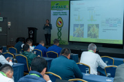 Trujillo reunirá a expertos nacionales e internacionales en el V Congreso Internacional del Palto Hass