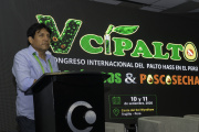 Cambio climático obliga a replantear el manejo del palto Hass en el Perú