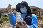 Minsa emite alerta epidemiológica nacional ante riesgos sanitarios por el fenómeno El Niño