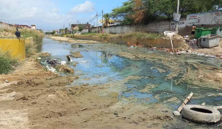 Perú en alerta tras brote de leptospirosis ¿De qué trata esta enfermedad?